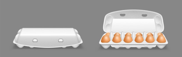 Vector gratuito maqueta de paquete de caja en blanco de bandeja de huevos de cartón