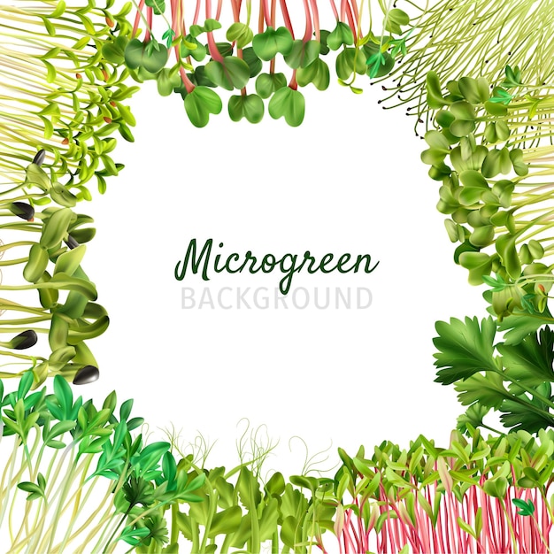 Vector gratuito marco de fondo de microgreens