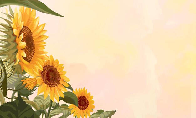 Marco de girasol en flor