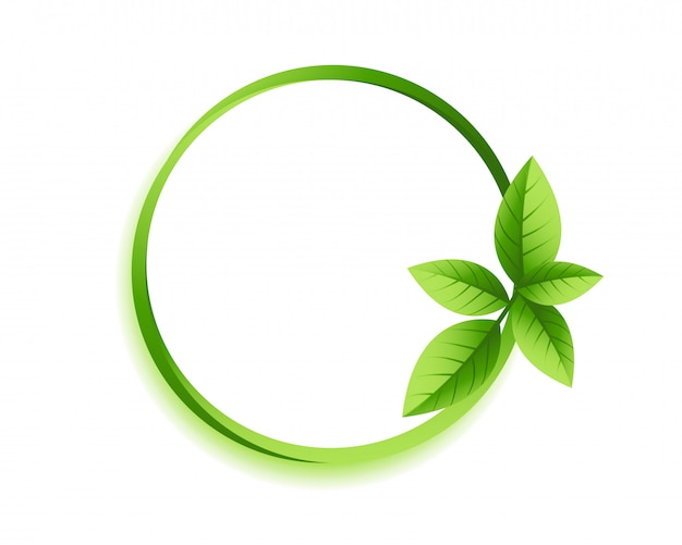 Marco de hojas de círculo verde con copyspace
