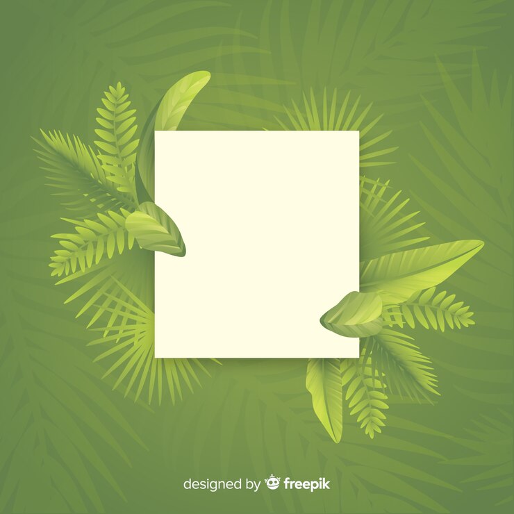 Vector gratuito marco de hojas con espacio vacío sobre fondo verde