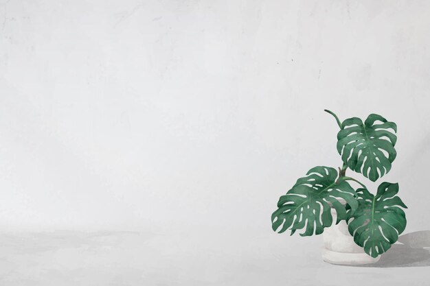 Marco de hojas de monstera en blanco