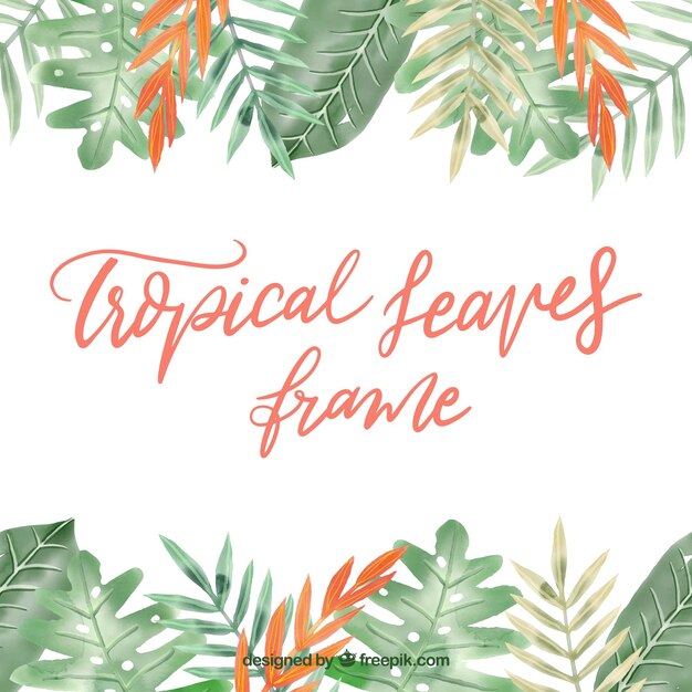 Marco de hojas con plantas tropicales
