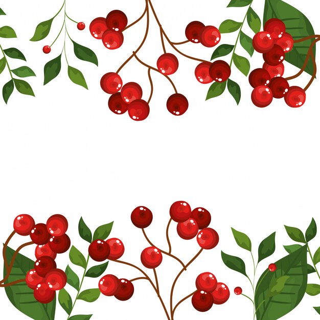 Marco de hojas y ramas con semillas iconos de navidad
