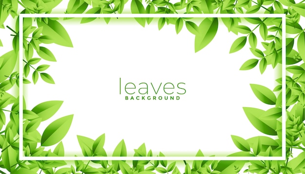 Vector gratuito marco de hojas verdes con diseño de espacio de texto