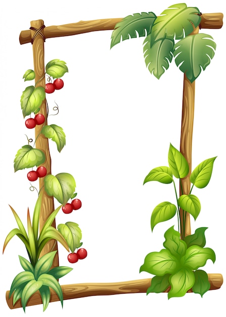 Un marco de madera con plantas de vid.