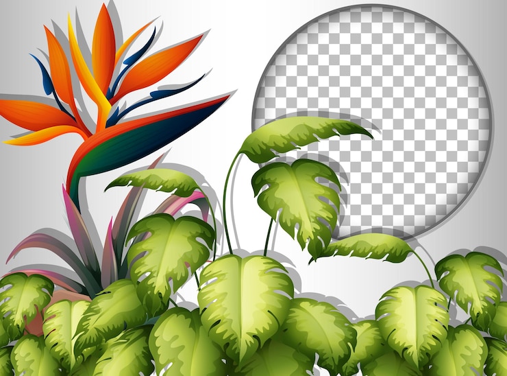 Vector gratuito marco redondo transparente con plantilla de hojas tropicales