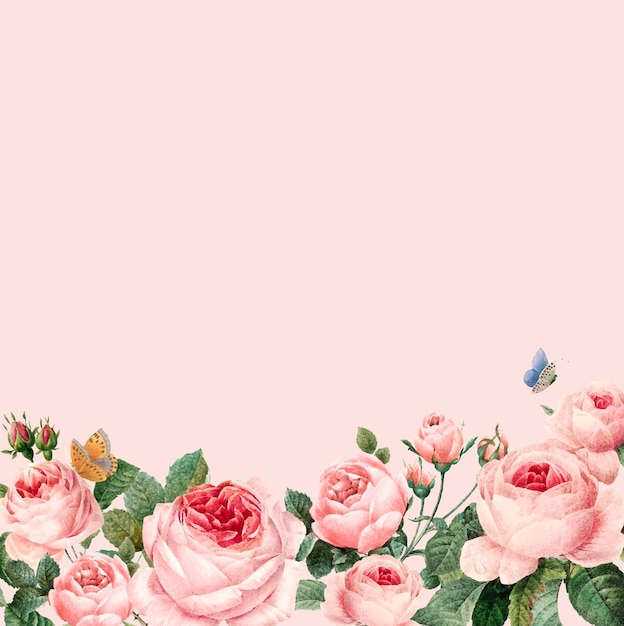 Dé el marco rosado dibujado de las rosas en vector rosado del fondo en colores pastel