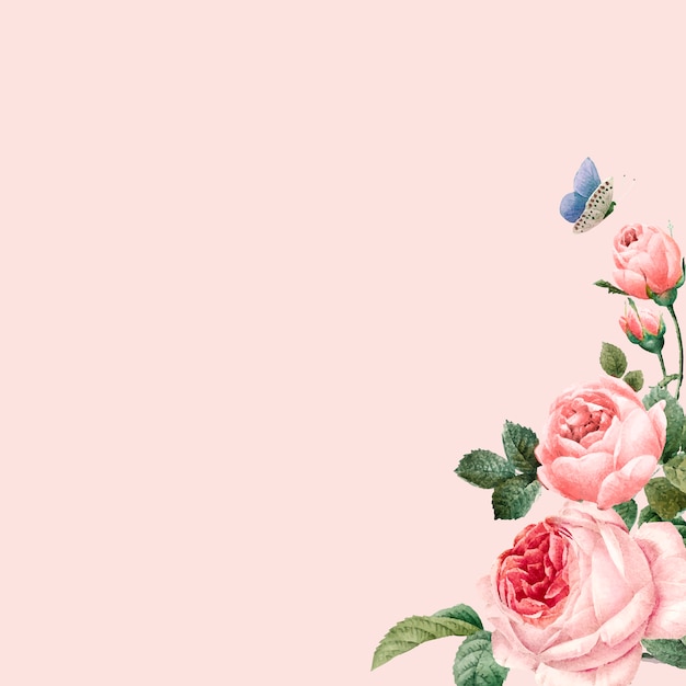 Dé el marco rosado dibujado de las rosas en vector rosado del fondo en colores pastel