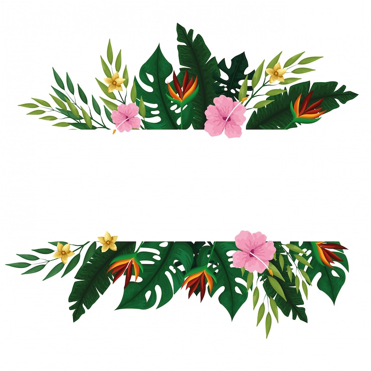 Vector gratuito marco de tarjeta en blanco tropical de verano