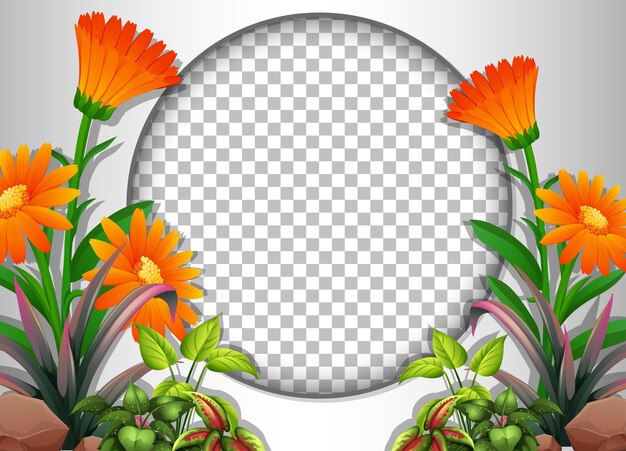 Marco transparente redondo con plantilla de flores y hojas tropicales