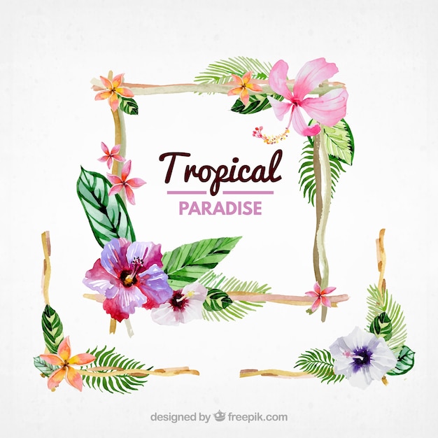 Marco tropical con flores de acuarela 