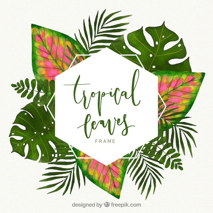 Vector gratuito marco tropical con hojas diferentes en estilo acuarela
