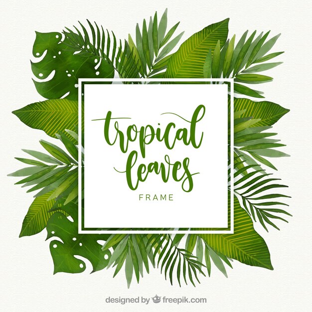 Marco tropical con hojas diferentes en estilo acuarela
