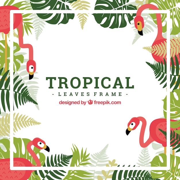 Marco tropical con hojas en estilo plano