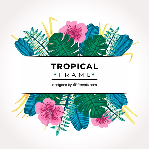 Marco tropical con hojas y vegetación