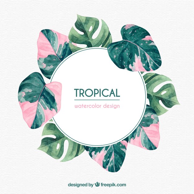 Marco tropical con hojas y vegetación