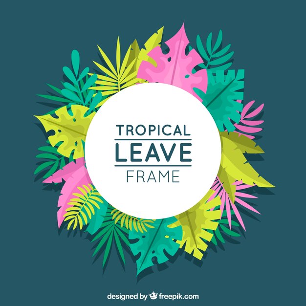 Marco tropical con hojas y vegetación
