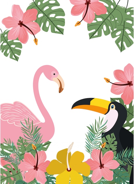 Marco de tucan y flamenco con flores de verano.