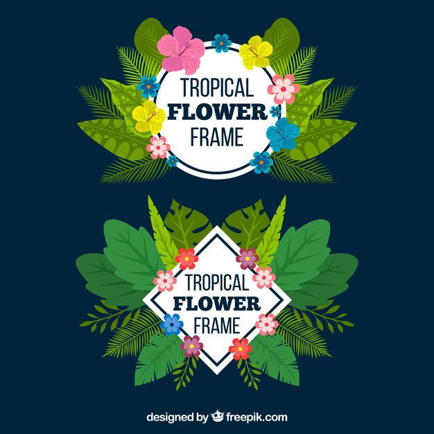 Marcos vintage de hojas y flores tropicales