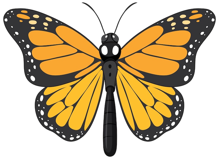Vector gratuito mariposa monarca aislada sobre un fondo blanco