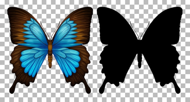 Vector gratuito mariposa y su silueta sobre fondo transparente