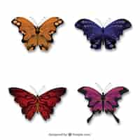 Vector gratuito mariposas elegantes