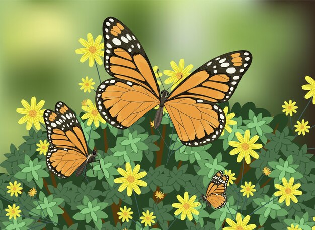 Las mariposas monarca en las flores amarillas de la primavera