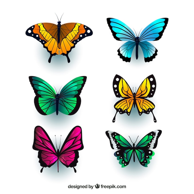 Vector gratuito mariposas realistas con variedad de colores