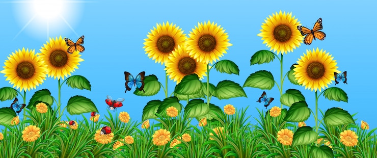 Vector gratuito las mariposas volando en el campo de girasoles