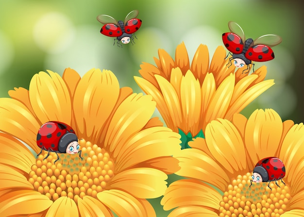 Mariquitas volando en el jardín