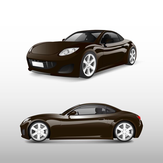 Marrón deportivo aislado en vector blanco