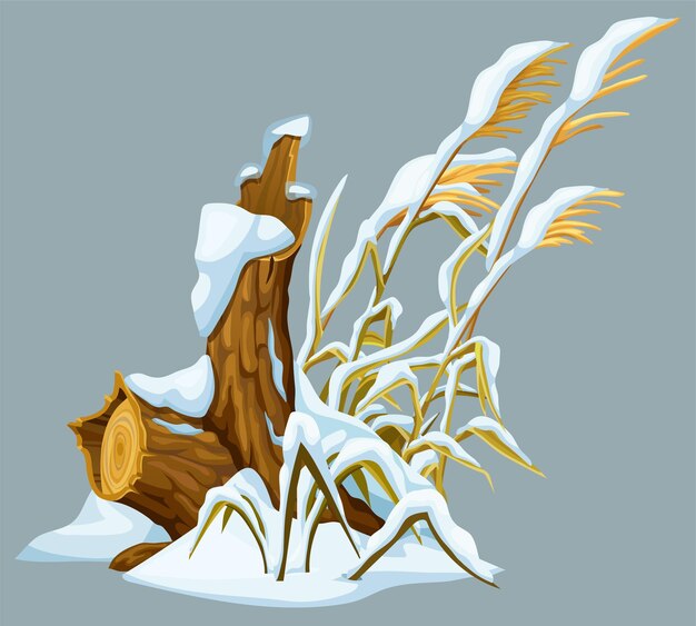 Marsh tocón de caña hierba bajo la nieve Pantano totora invierno árbol roto ventisqueros de malezas