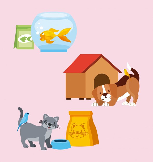 Mascota y veterinaria