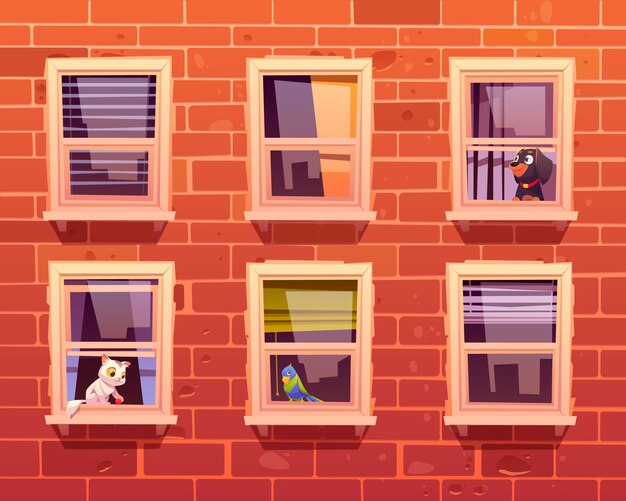 Mascotas en ventanas, gatos, perros y loros en el alféizar de la ventana