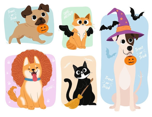 Mascotas vestidas con disfraces de halloween