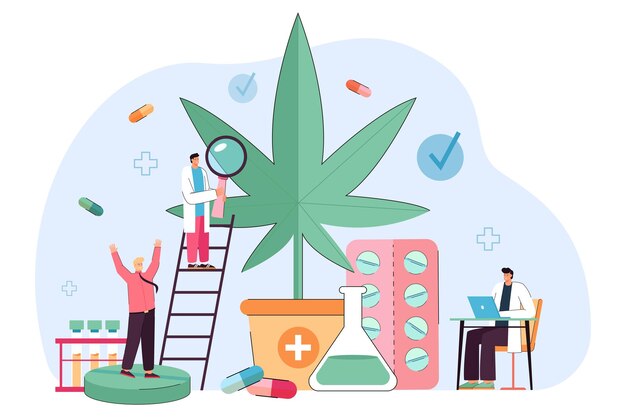Médicos que investigan el uso del extracto de aceite de cáñamo de la planta de marihuana. Producción legal de medicamentos a partir de malezas por personas diminutas ilustraciones vectoriales planas. Cannabis medicinal para pacientes, concepto de industria