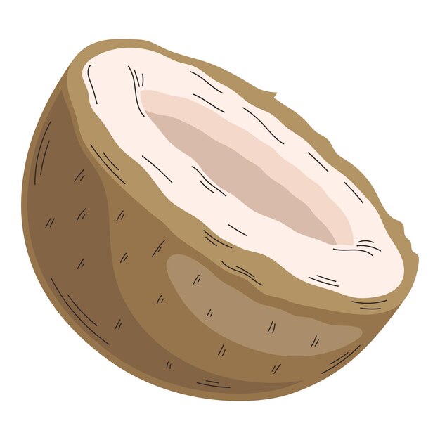 medio coco fruta saludable