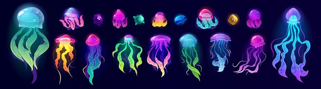 Medusas animales submarinos coloridos medusas