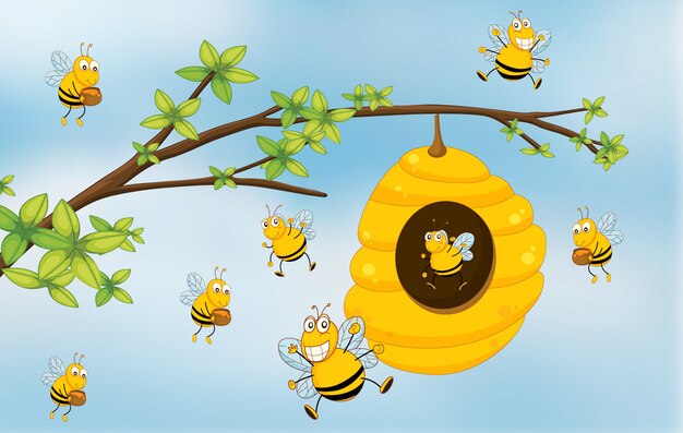 Miel de abeja