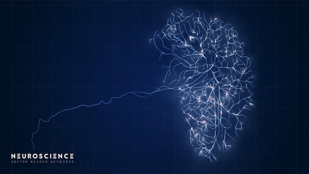 Modelo complejo del sistema neuronal Estructura de red neuronal Investigación de la red nerviosa humana Organismo artificial digital Análisis de datos de células de la mente humana