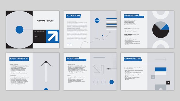 Modelo de informe anual de diseño plano