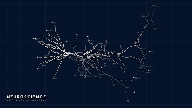 Vector gratuito modelo de sistema neuronal estructura de red neuronal investigación de la red nerviosa humana organismo artificial digital análisis de datos de células mentales humanas