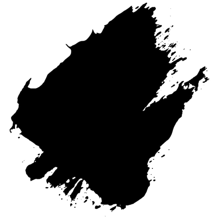 El moderno pincel grunge negro sobre un fondo blanco