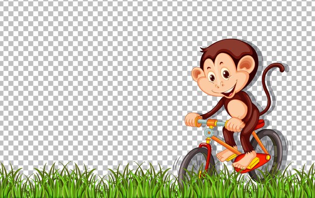 Monkey andar en bicicleta sobre fondo transparente
