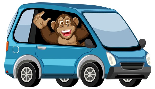 El mono conduciendo una minivan azul