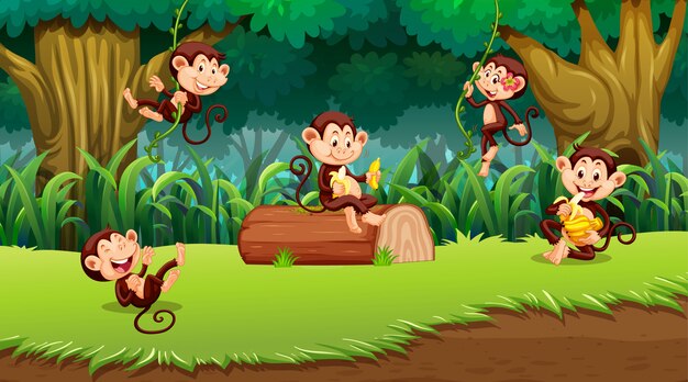 Mono en la escena de la selva