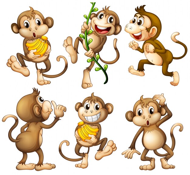 Monos salvajes juguetones