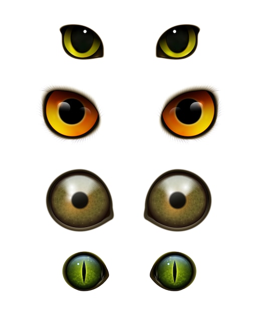 Monstruos animales gatos ojos realistas