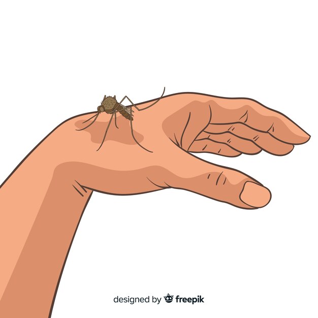 Mosquito picando en una mano dibujado a mano